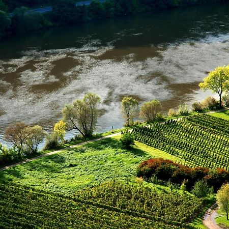 Weingut Helmut Barzen Apartman Zell an der Mosel Kültér fotó