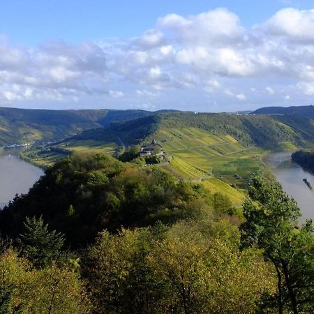Weingut Helmut Barzen Apartman Zell an der Mosel Kültér fotó